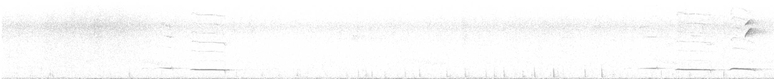 Chestnut-crowned Antpitta - ML647624775