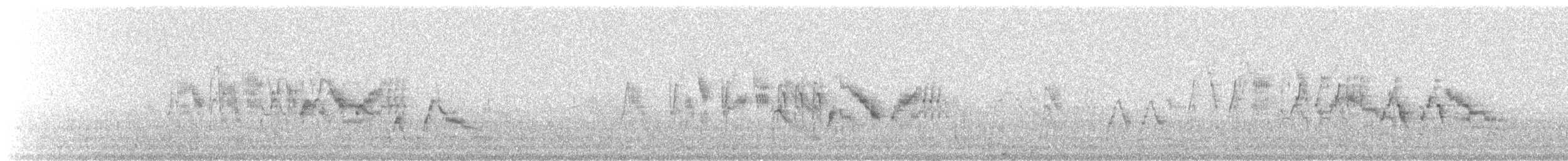 Grive à joues grises - ML647625845