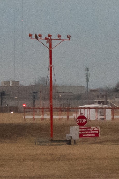 鷹科(中、小型) - ML647626701