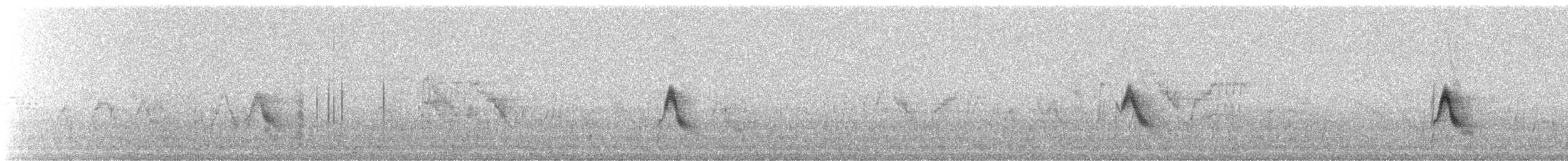 Grive à joues grises - ML647627560