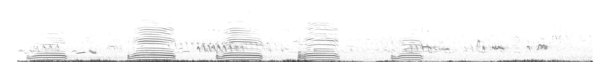 Paradiesgans - ML647628127