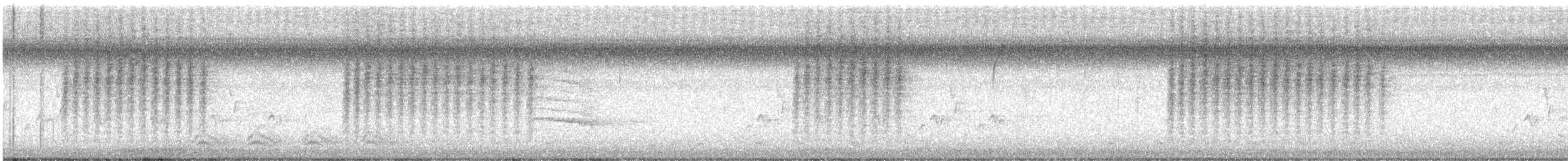 Northern House Wren - ML647628770