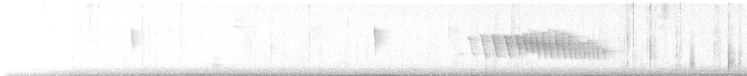 Puerto Rican Owl - ML647630308