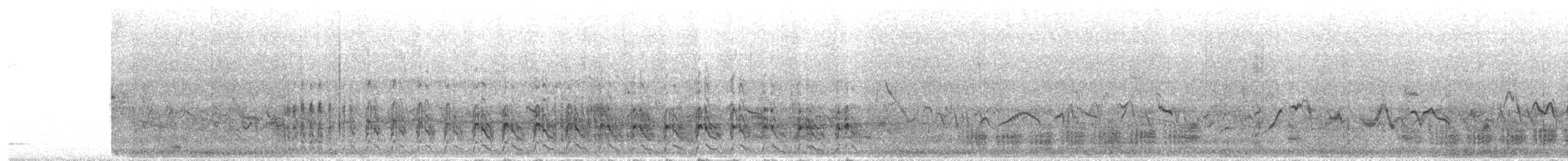 Great Spotted Cuckoo - ML647631129