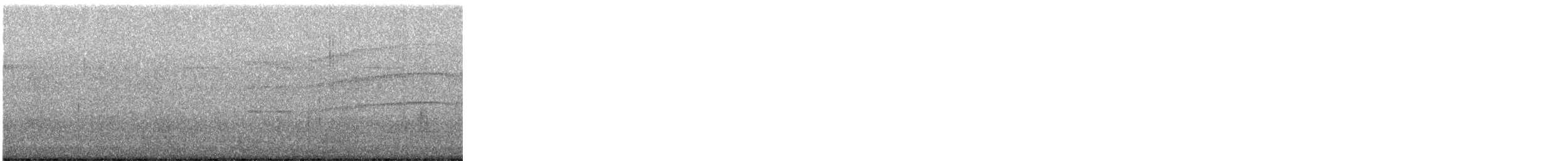 Breitflügelbussard - ML647632421