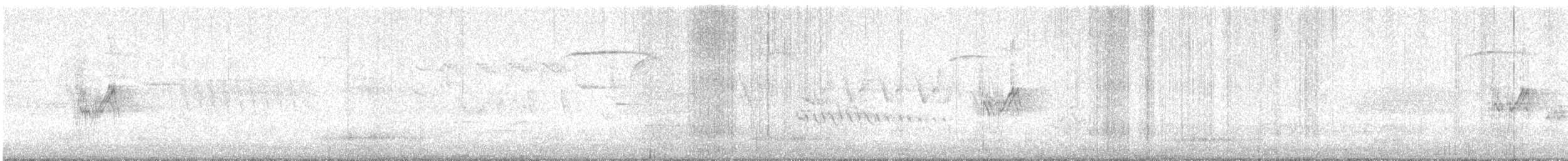 Плиска біла (підвид yarrellii) - ML647633280