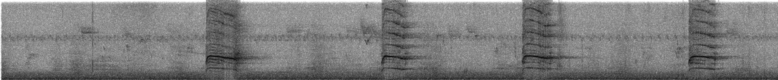 Geai bleu - ML647633404