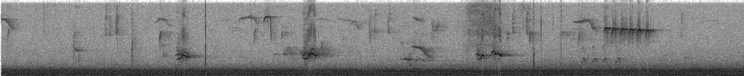 Чечевиця кармінова - ML647633432