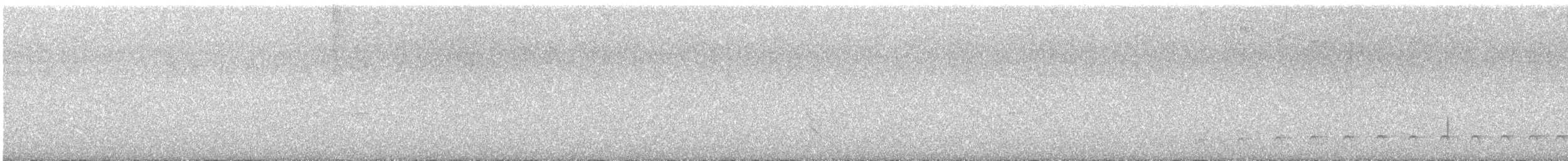 Сорокуш-малюк північний - ML647633464