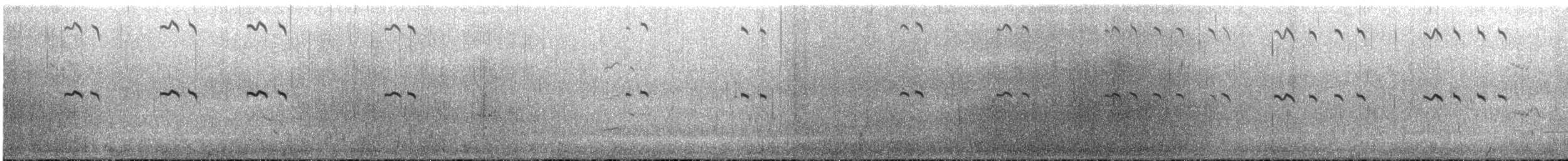 Крячок королівський - ML647633545