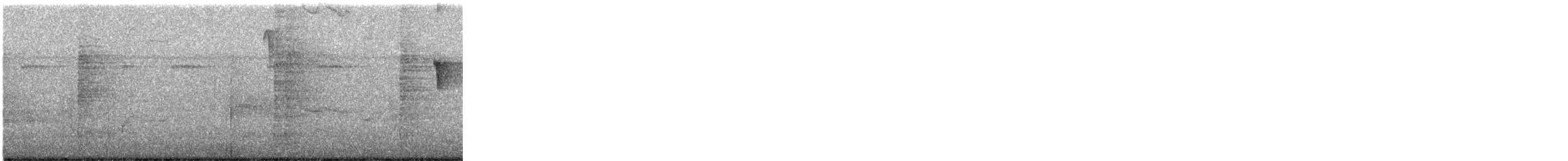 Колібрі-шаблекрил мангровий - ML647633668