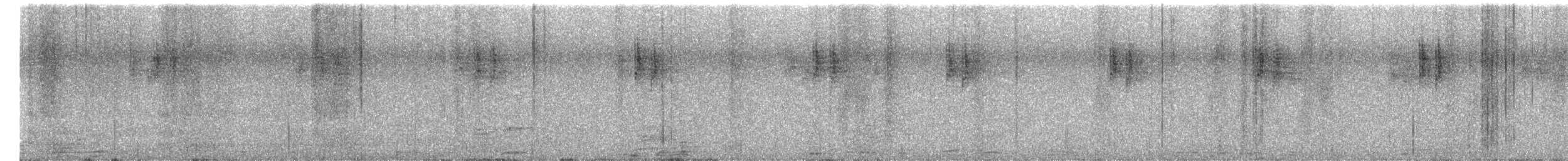 kolibřík modrouchý - ML647634290