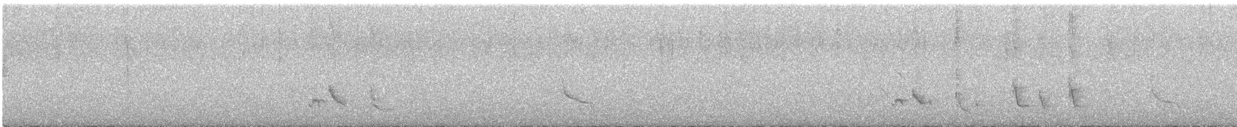 Tropical Mockingbird - ML647634356