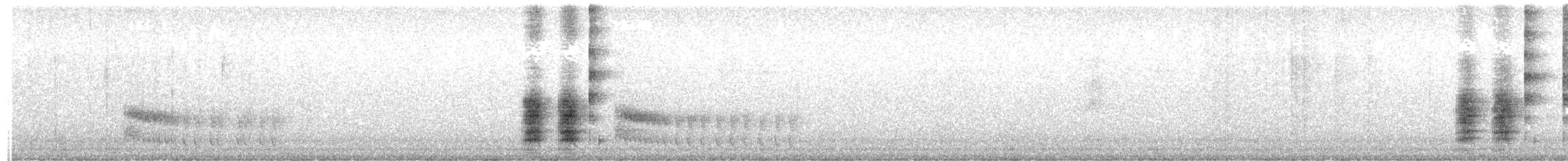 Collared Trogon - ML647634672