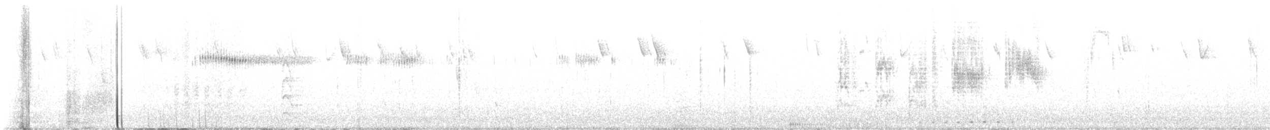 Violet-crowned Hummingbird - ML647634795