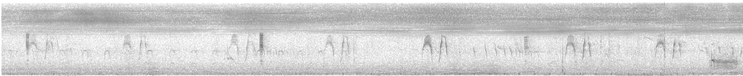 Subtropical Doradito - ML647635490