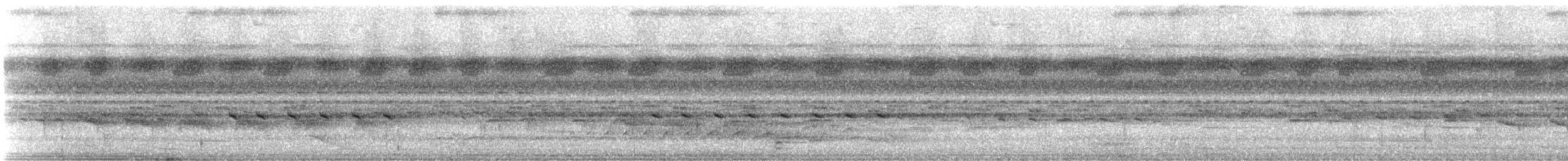 Dendrocolaptes sp. - ML647635529