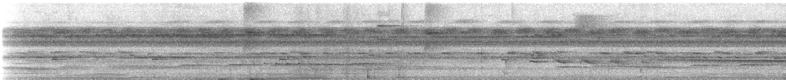 Gray Antwren - ML647635538