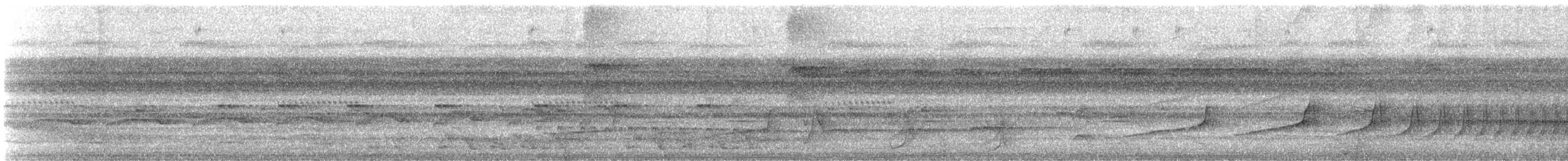 Cinereous Antshrike - ML647635544