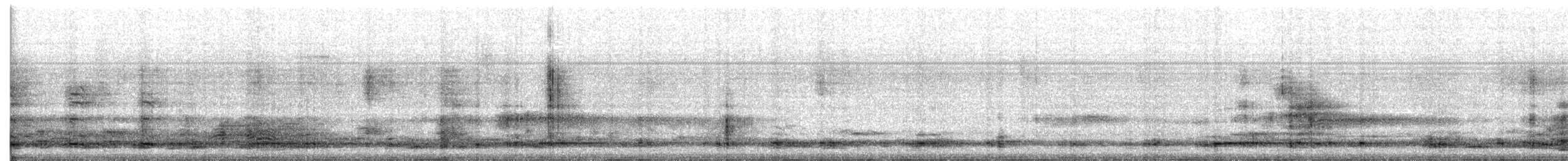 berneška velká - ML647635690