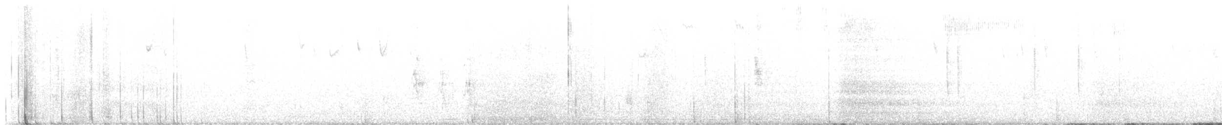 Violet-crowned Hummingbird - ML647636283