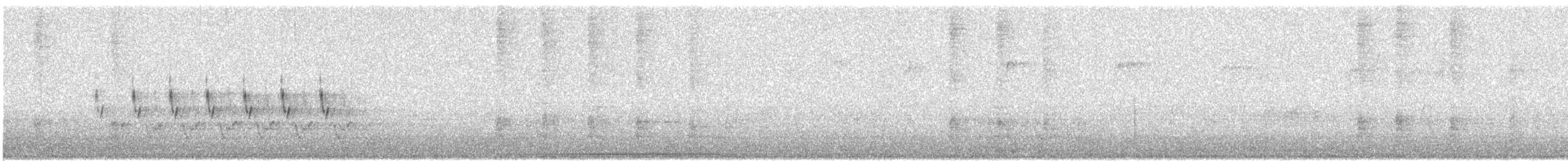 チャバラマユミソサザイ - ML647636504