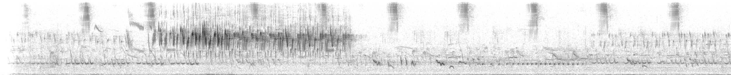 ムナグロオーストラリアムシクイ（assimilis／bernieri） - ML647636522