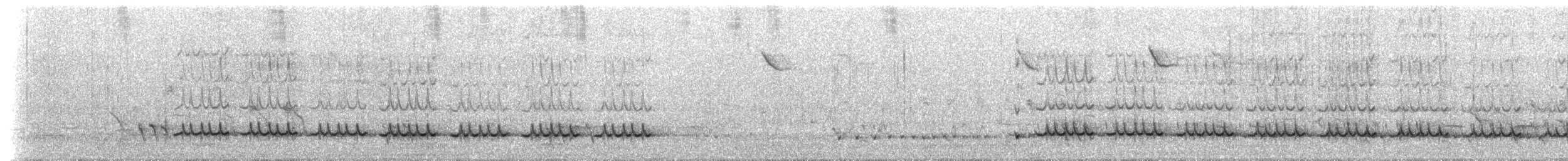 ケミミミツスイ - ML647636547