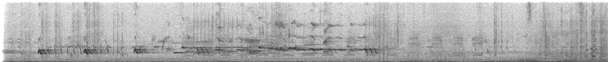 ニジハバト - ML647636569