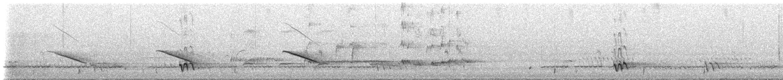 マミジロテリカッコウ - ML647636622