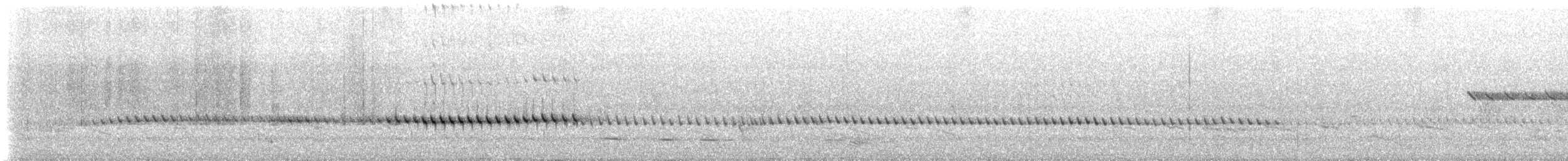 スズメ目 - ML647636824