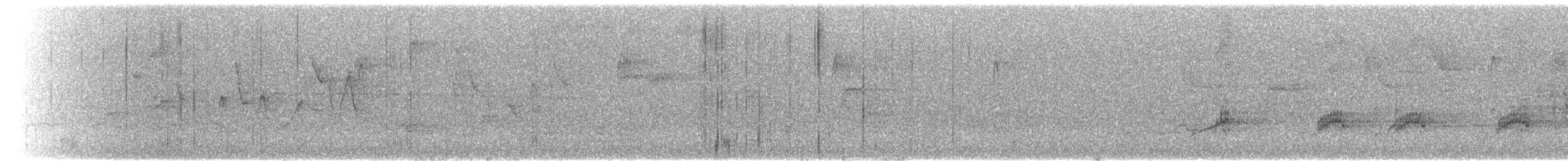 クロボシアメリカムシクイ - ML647636902