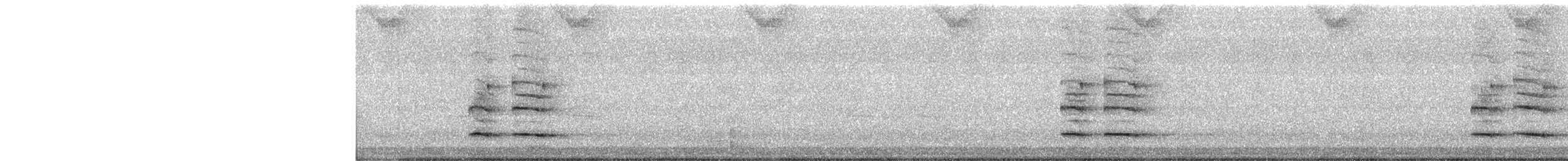 アオカケス - ML647637035