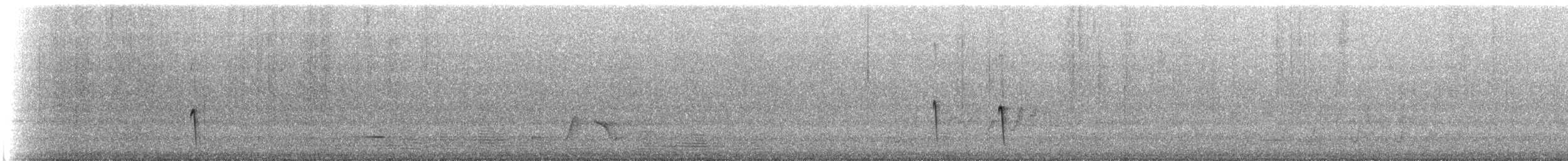 ムナフコバシミツスイ - ML647637163