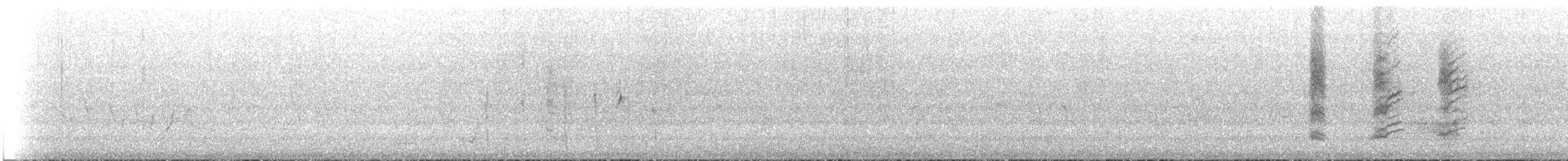 Sarı Yakalı Balkuşu - ML647637185