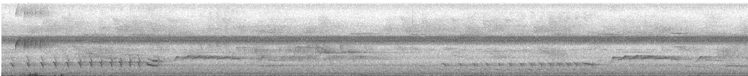 シロボシクロアリモズ - ML647637202