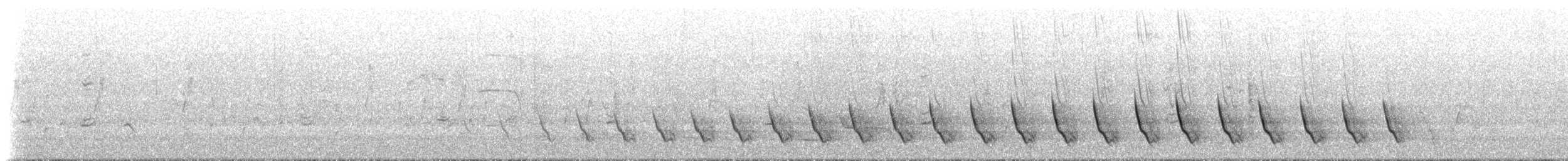 Western Yellow Robin - ML647637221