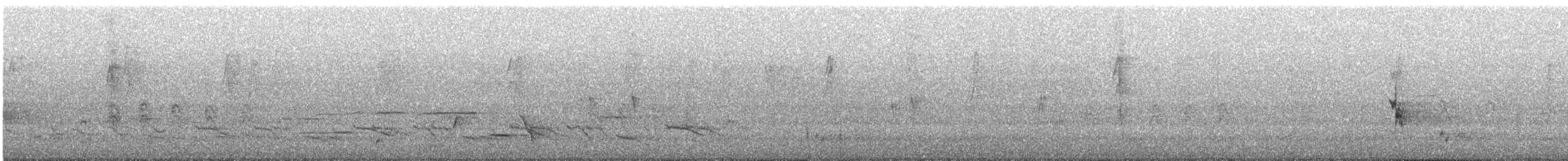 Pied Honeyeater - ML647637264