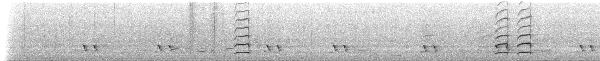 passerine sp. - ML647637272