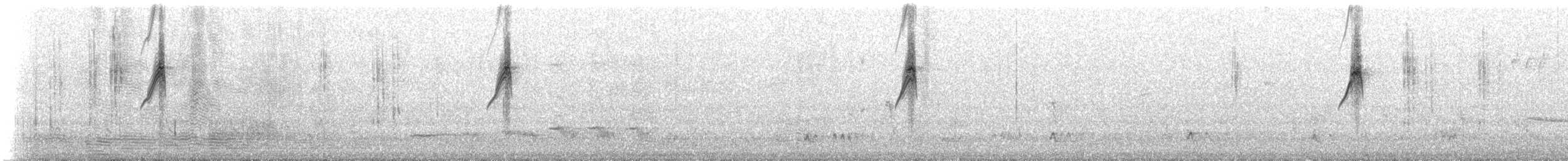 Black-eared Cuckoo - ML647637299