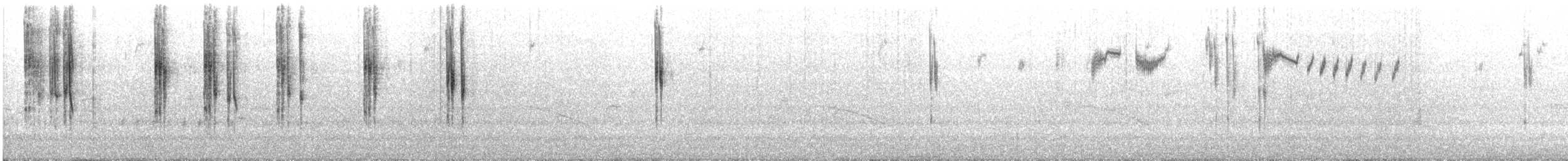 Purple-backed Fairywren (Purple-backed) - ML647637319