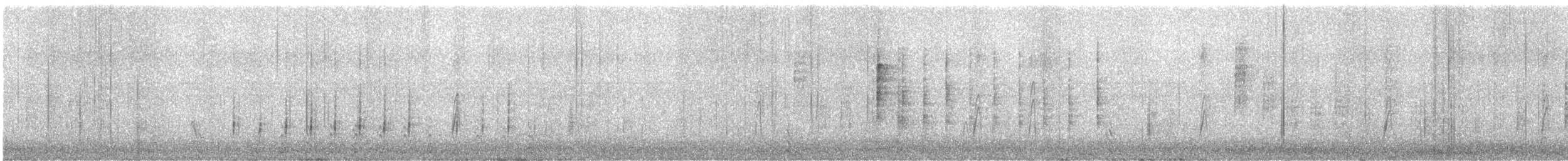 California Quail - ML647637611