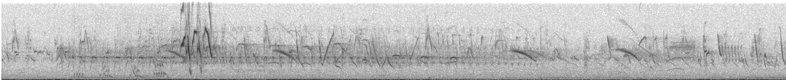 Shiny Cowbird - ML647638012