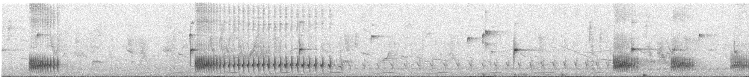 Great Antshrike - ML647638025