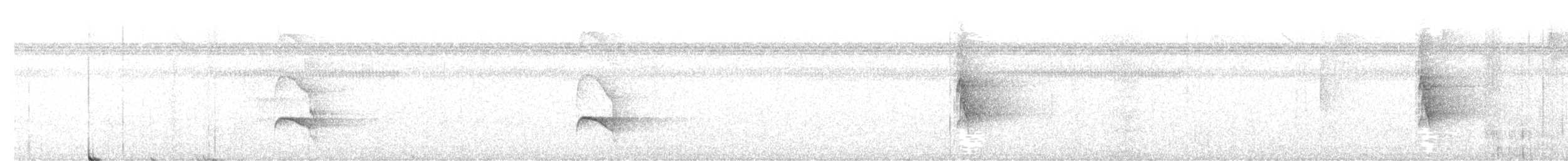 White-browed Antbird - ML647638044