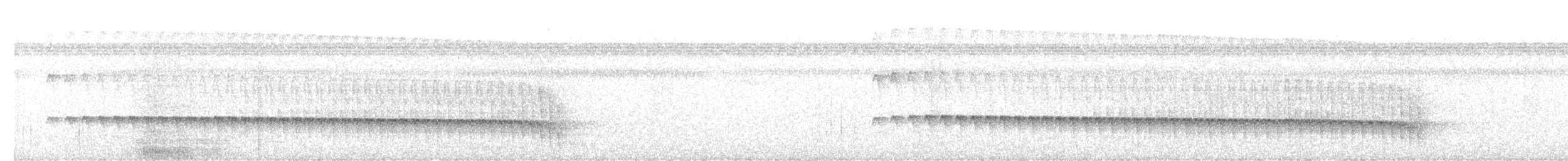 White-browed Antbird - ML647638055