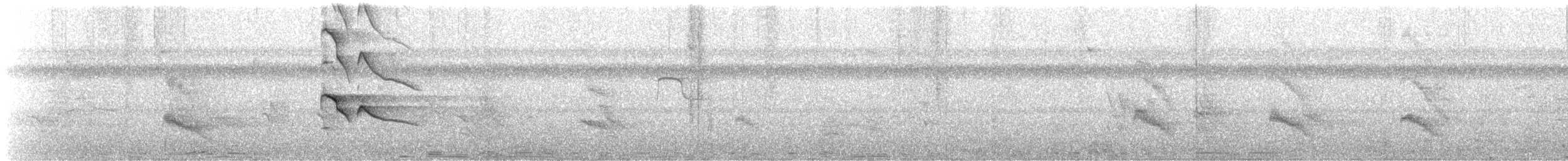 Plumbeous Kite - ML647640720