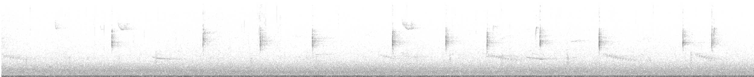 MacGillivray's Warbler - ML647641184