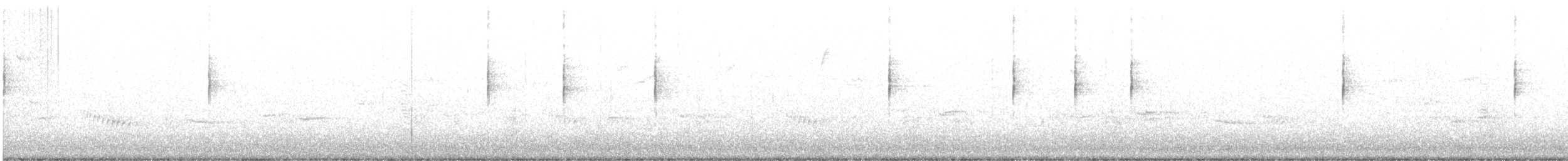 MacGillivray's Warbler - ML647641186