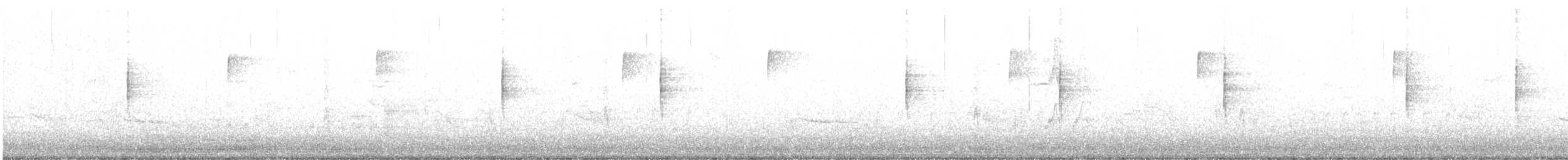 MacGillivray's Warbler - ML647641355